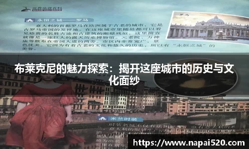 bsports官网登录入口