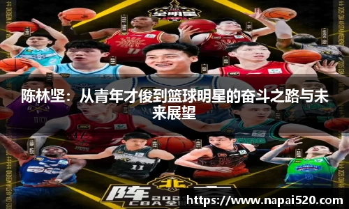 bsports官网登录入口